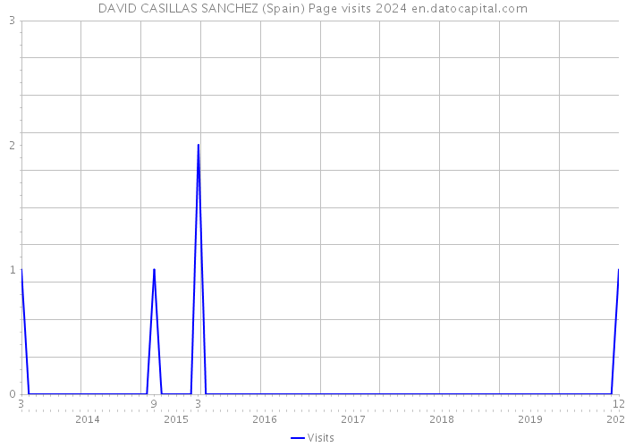 DAVID CASILLAS SANCHEZ (Spain) Page visits 2024 