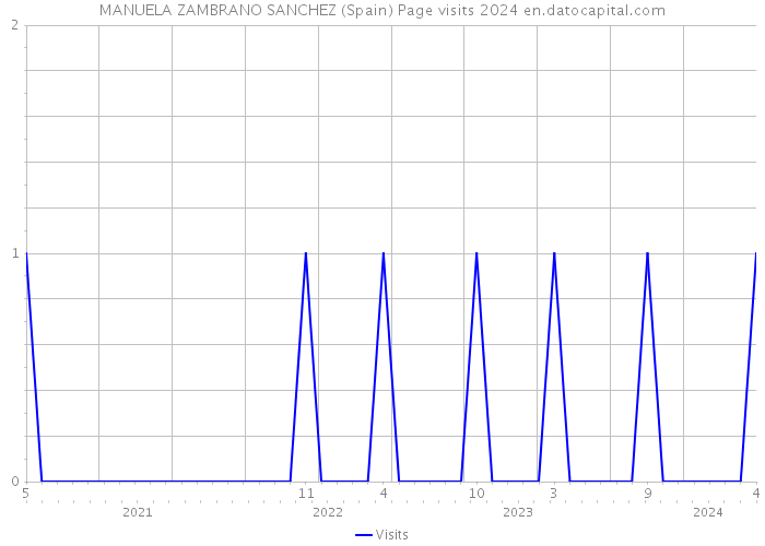MANUELA ZAMBRANO SANCHEZ (Spain) Page visits 2024 