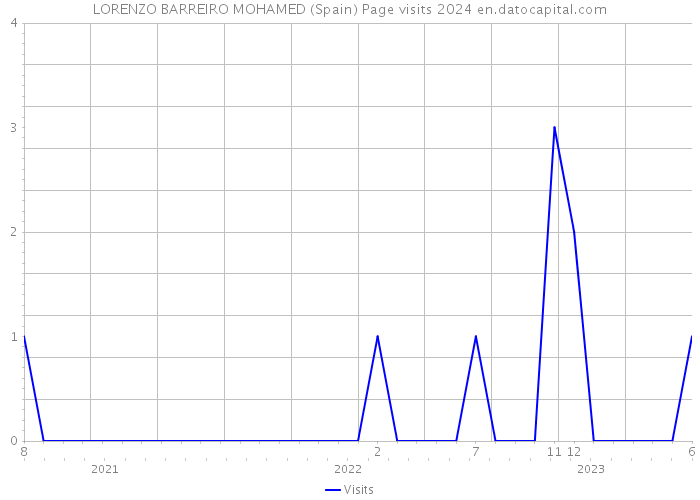 LORENZO BARREIRO MOHAMED (Spain) Page visits 2024 