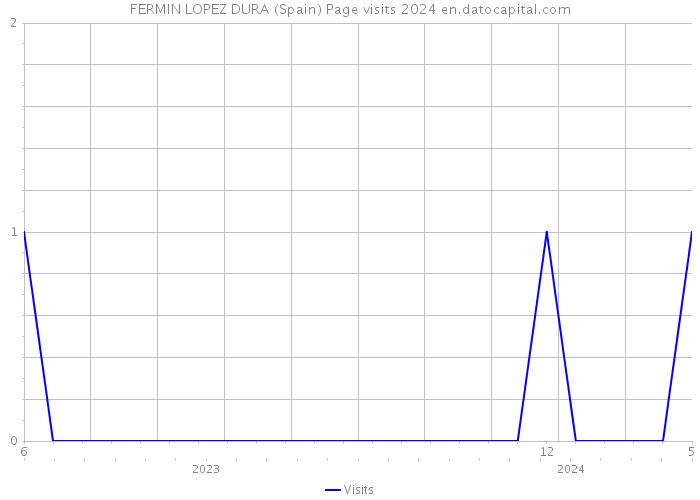 FERMIN LOPEZ DURA (Spain) Page visits 2024 