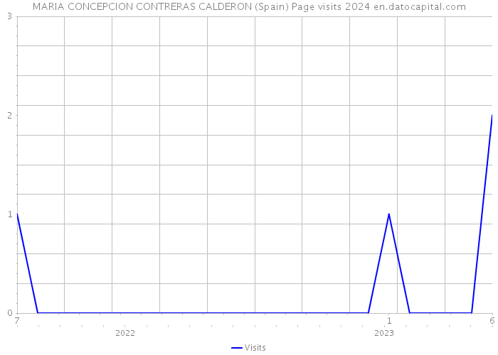 MARIA CONCEPCION CONTRERAS CALDERON (Spain) Page visits 2024 
