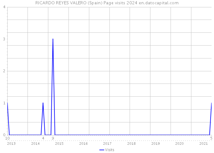 RICARDO REYES VALERO (Spain) Page visits 2024 