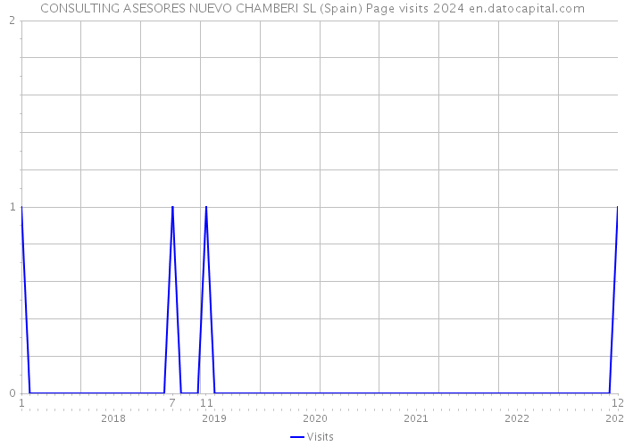 CONSULTING ASESORES NUEVO CHAMBERI SL (Spain) Page visits 2024 