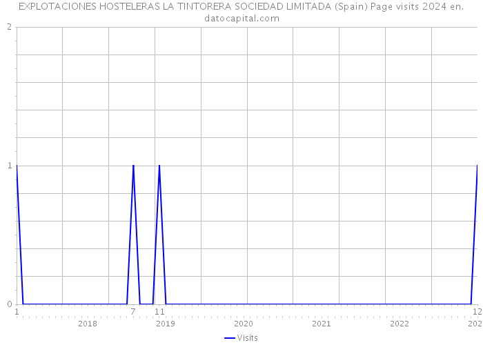 EXPLOTACIONES HOSTELERAS LA TINTORERA SOCIEDAD LIMITADA (Spain) Page visits 2024 