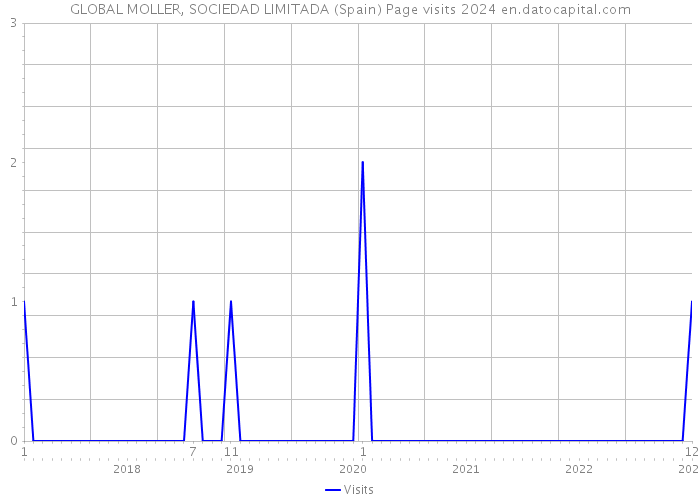 GLOBAL MOLLER, SOCIEDAD LIMITADA (Spain) Page visits 2024 