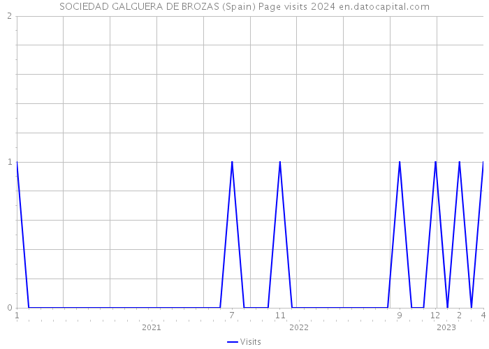 SOCIEDAD GALGUERA DE BROZAS (Spain) Page visits 2024 