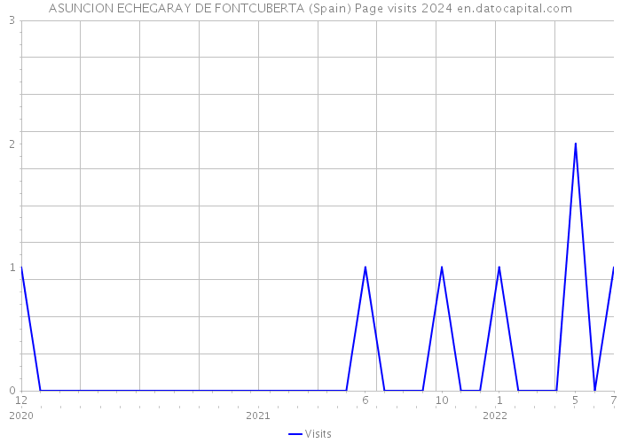 ASUNCION ECHEGARAY DE FONTCUBERTA (Spain) Page visits 2024 