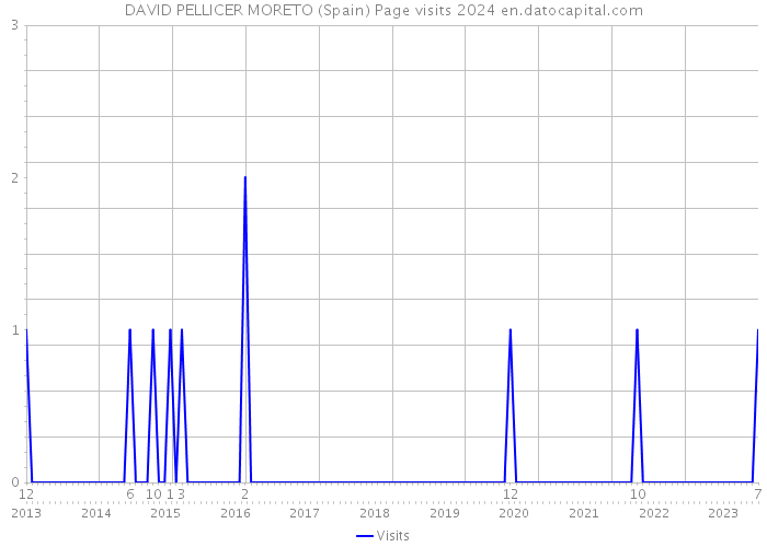 DAVID PELLICER MORETO (Spain) Page visits 2024 