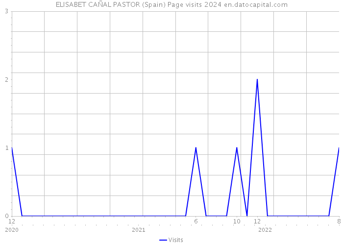 ELISABET CAÑAL PASTOR (Spain) Page visits 2024 