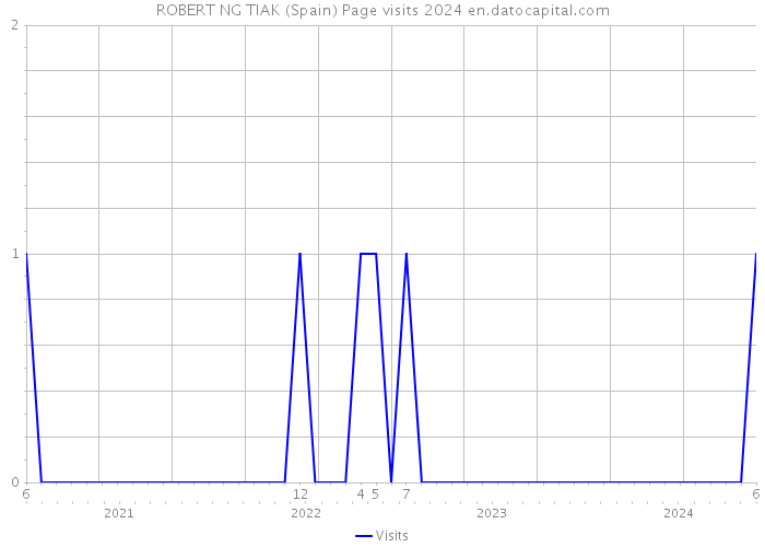 ROBERT NG TIAK (Spain) Page visits 2024 