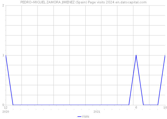 PEDRO-MIGUEL ZAMORA JIMENEZ (Spain) Page visits 2024 