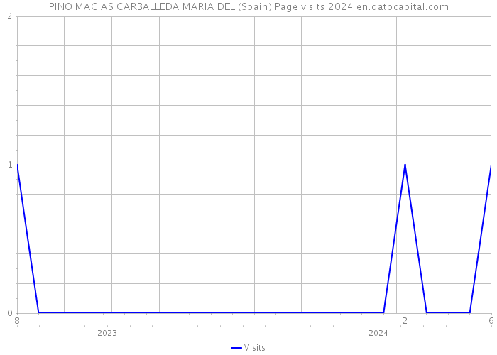 PINO MACIAS CARBALLEDA MARIA DEL (Spain) Page visits 2024 