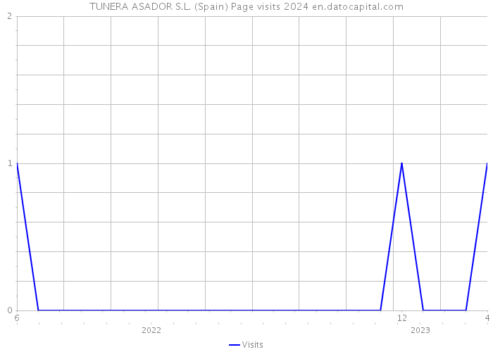TUNERA ASADOR S.L. (Spain) Page visits 2024 