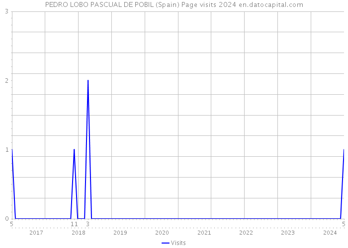 PEDRO LOBO PASCUAL DE POBIL (Spain) Page visits 2024 