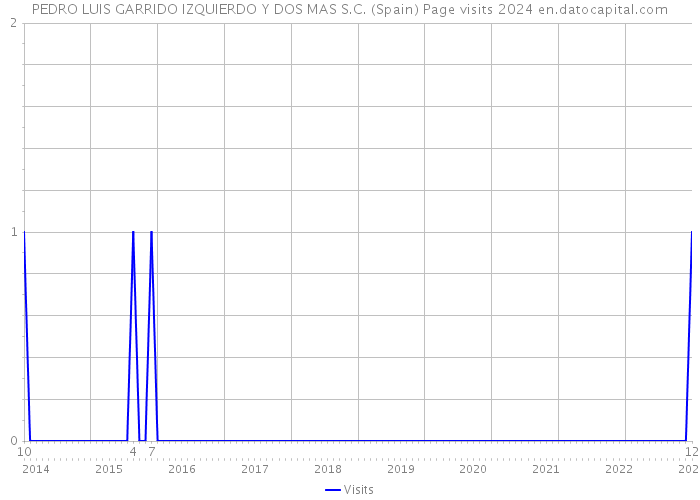 PEDRO LUIS GARRIDO IZQUIERDO Y DOS MAS S.C. (Spain) Page visits 2024 