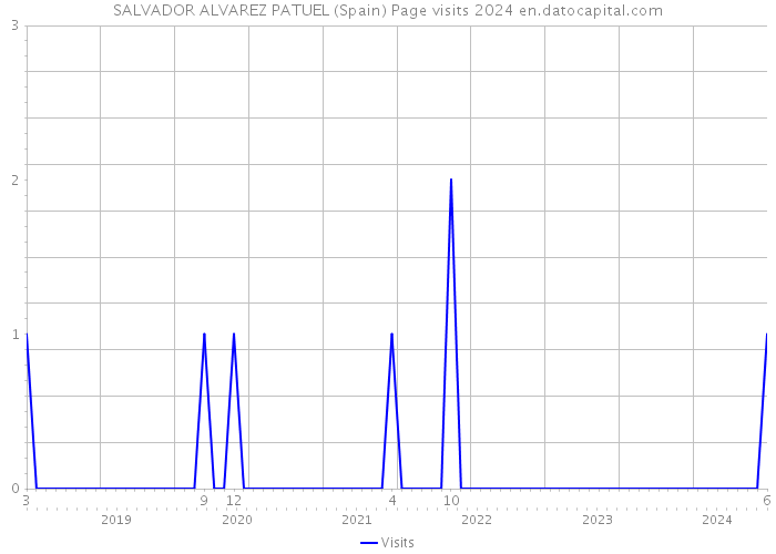 SALVADOR ALVAREZ PATUEL (Spain) Page visits 2024 