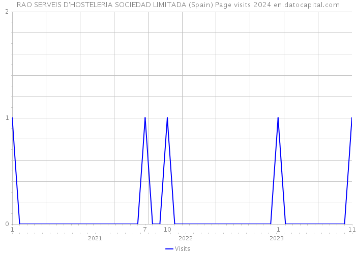 RAO SERVEIS D'HOSTELERIA SOCIEDAD LIMITADA (Spain) Page visits 2024 