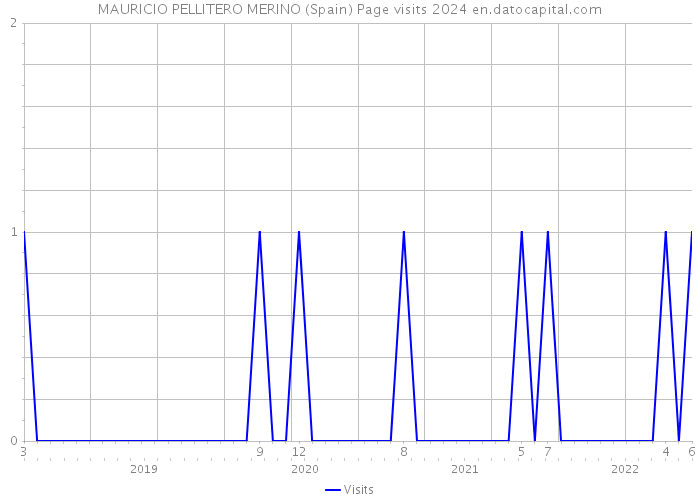 MAURICIO PELLITERO MERINO (Spain) Page visits 2024 