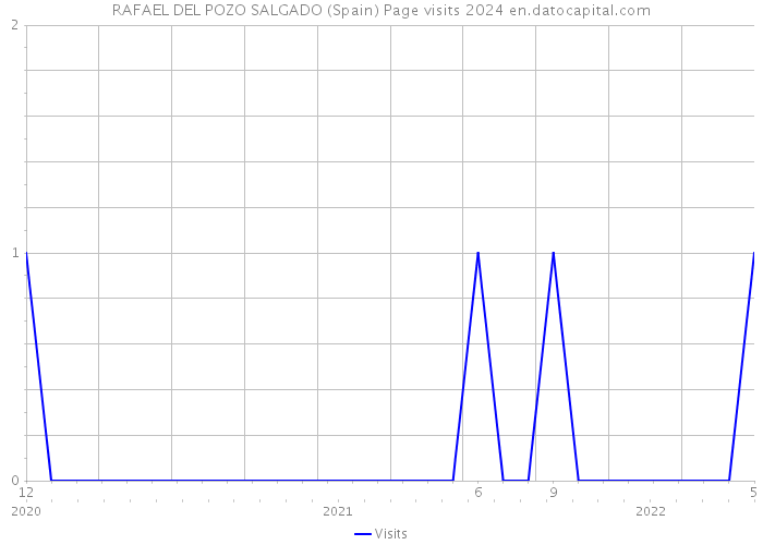 RAFAEL DEL POZO SALGADO (Spain) Page visits 2024 