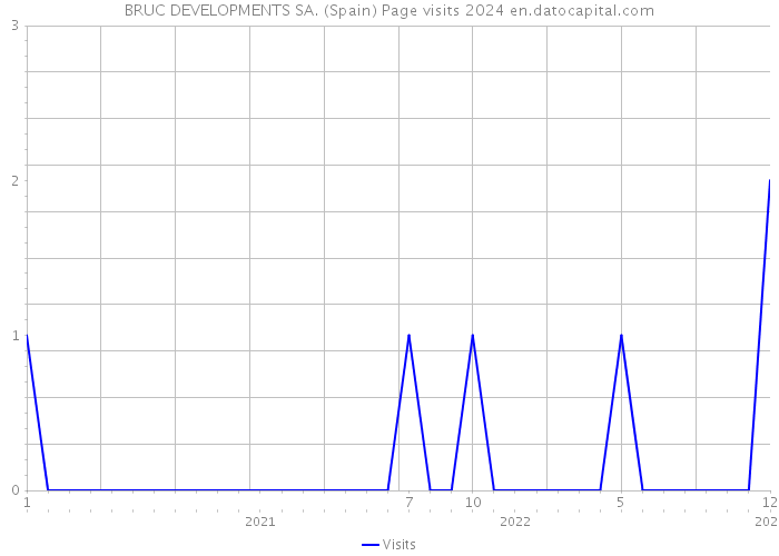 BRUC DEVELOPMENTS SA. (Spain) Page visits 2024 