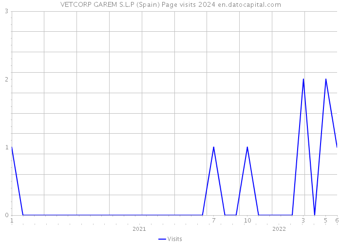 VETCORP GAREM S.L.P (Spain) Page visits 2024 