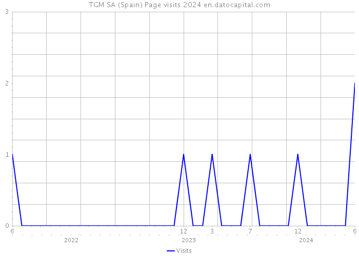 TGM SA (Spain) Page visits 2024 