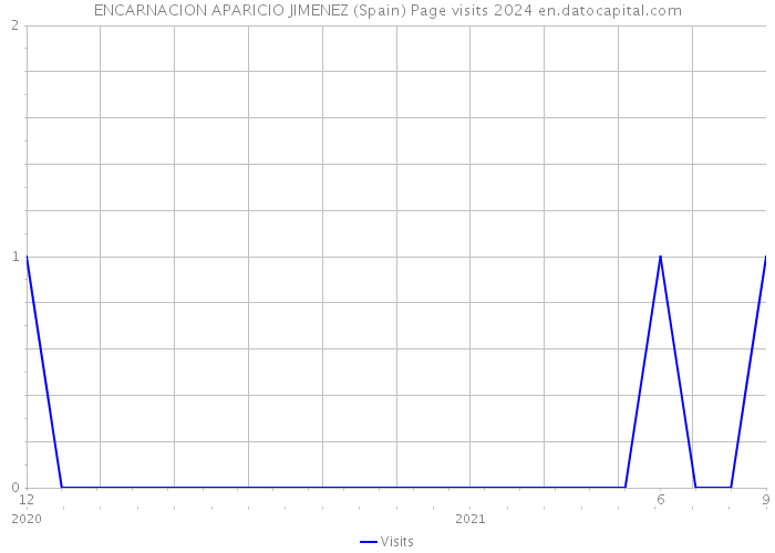 ENCARNACION APARICIO JIMENEZ (Spain) Page visits 2024 