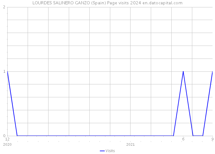 LOURDES SALINERO GANZO (Spain) Page visits 2024 