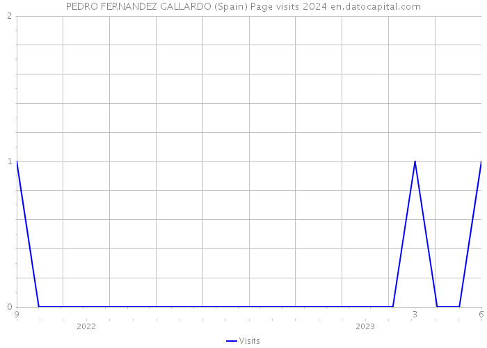 PEDRO FERNANDEZ GALLARDO (Spain) Page visits 2024 