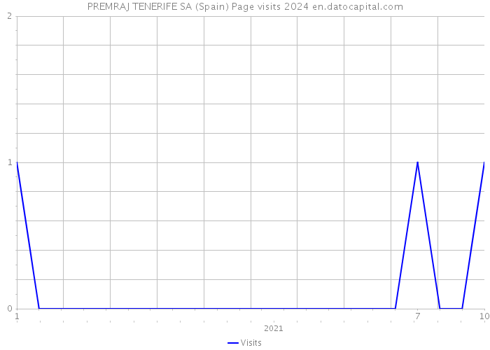 PREMRAJ TENERIFE SA (Spain) Page visits 2024 
