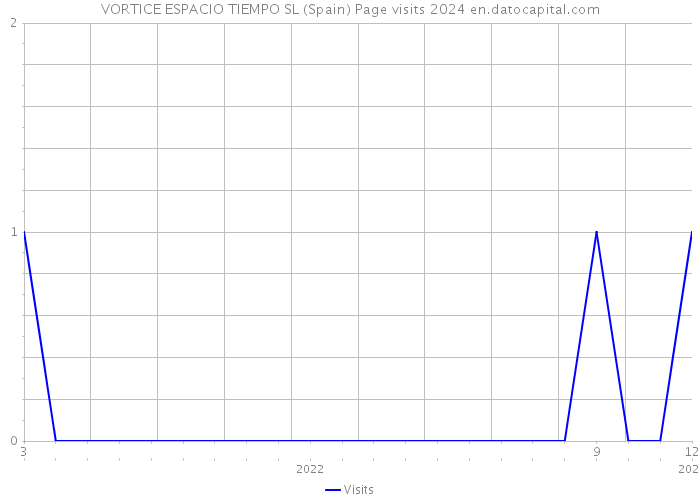 VORTICE ESPACIO TIEMPO SL (Spain) Page visits 2024 
