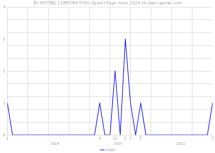 BV RISTEEL CORPORATION (Spain) Page visits 2024 