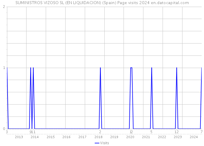 SUMINISTROS VIZOSO SL (EN LIQUIDACION) (Spain) Page visits 2024 