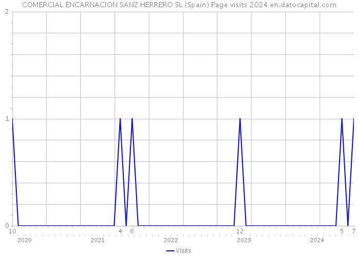 COMERCIAL ENCARNACION SANZ HERRERO SL (Spain) Page visits 2024 