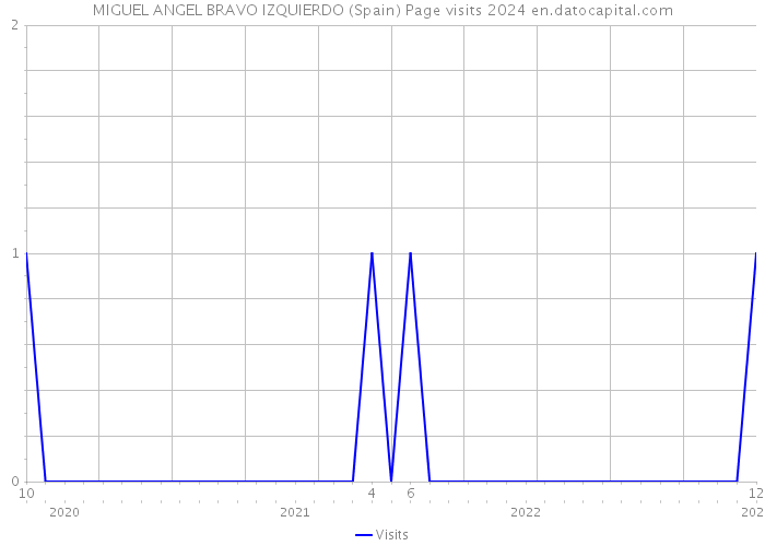 MIGUEL ANGEL BRAVO IZQUIERDO (Spain) Page visits 2024 