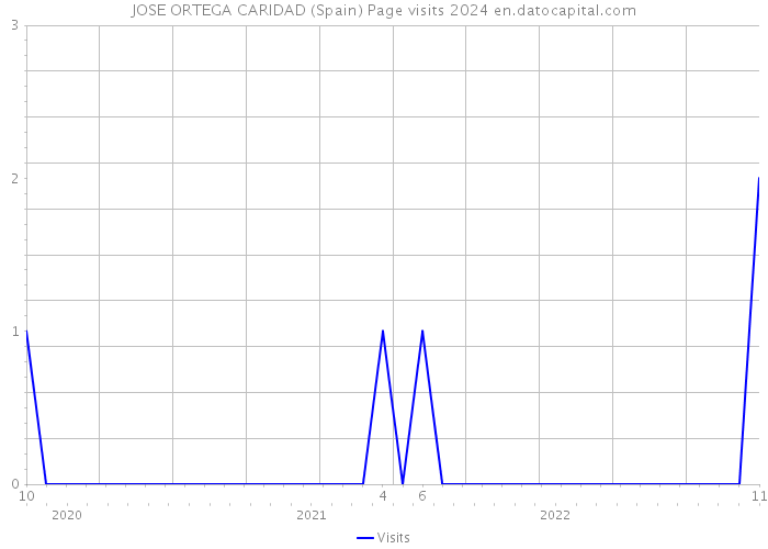 JOSE ORTEGA CARIDAD (Spain) Page visits 2024 