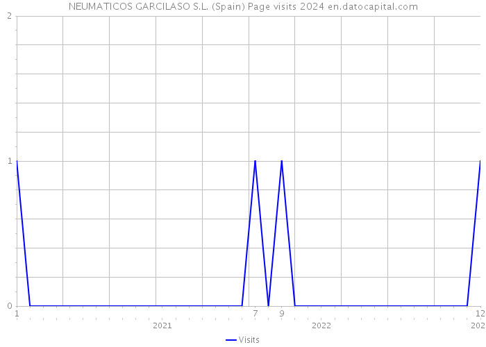 NEUMATICOS GARCILASO S.L. (Spain) Page visits 2024 