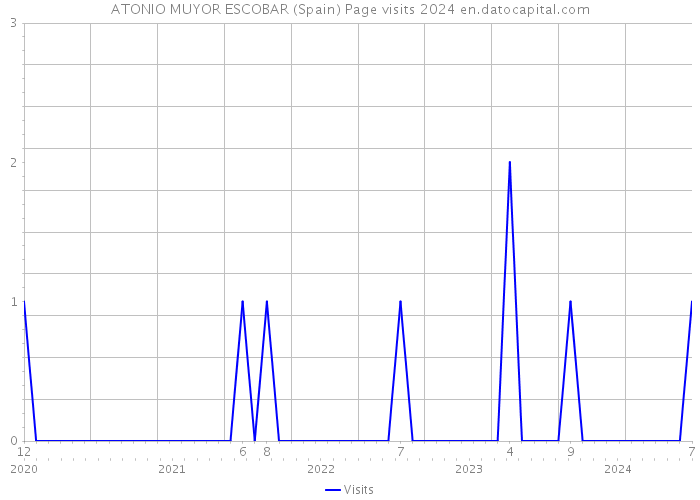 ATONIO MUYOR ESCOBAR (Spain) Page visits 2024 