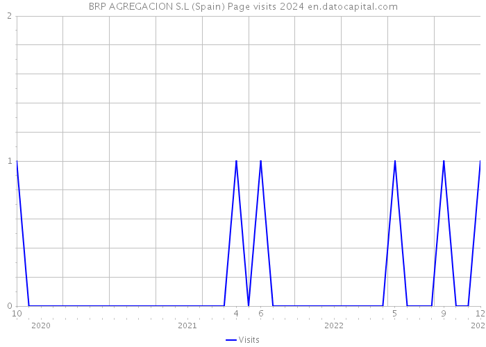 BRP AGREGACION S.L (Spain) Page visits 2024 