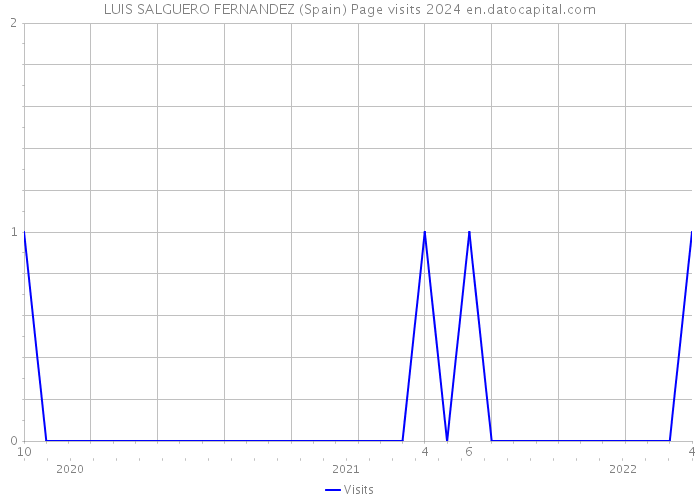 LUIS SALGUERO FERNANDEZ (Spain) Page visits 2024 