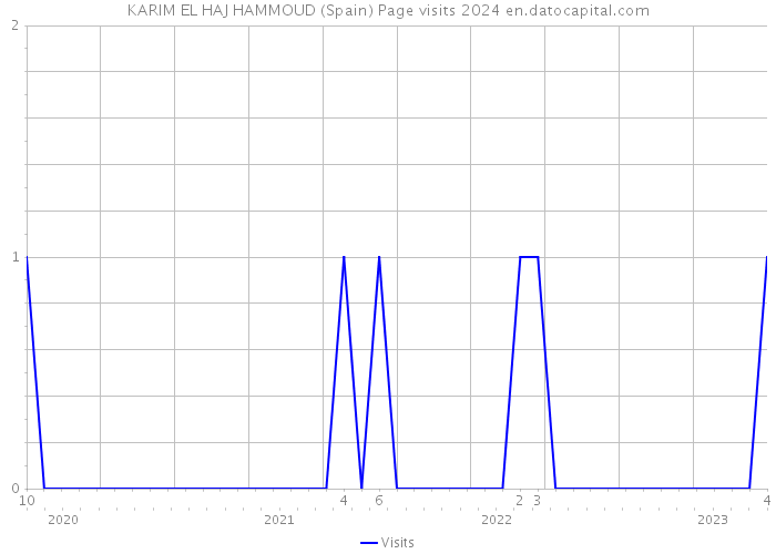 KARIM EL HAJ HAMMOUD (Spain) Page visits 2024 