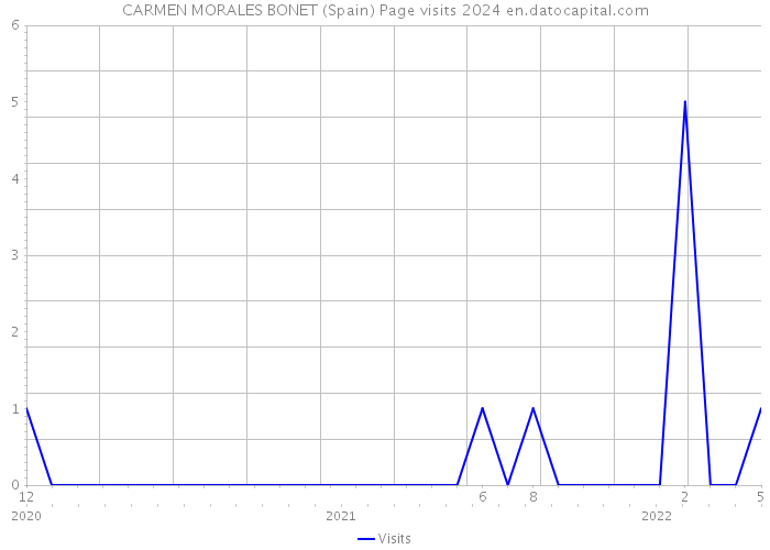 CARMEN MORALES BONET (Spain) Page visits 2024 