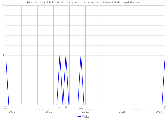 JAVIER SEQUERA CASTRO (Spain) Page visits 2024 