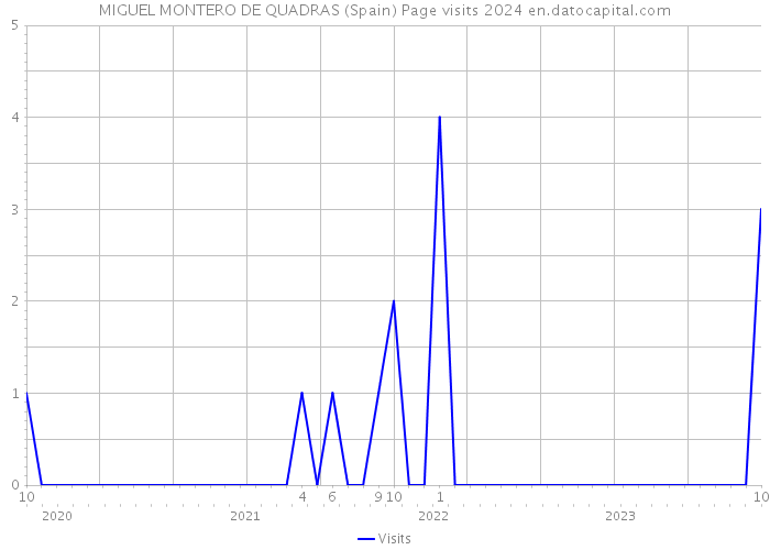 MIGUEL MONTERO DE QUADRAS (Spain) Page visits 2024 