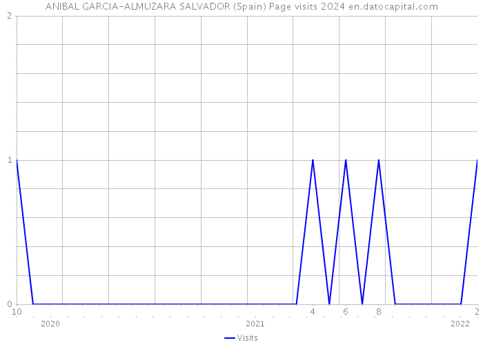 ANIBAL GARCIA-ALMUZARA SALVADOR (Spain) Page visits 2024 