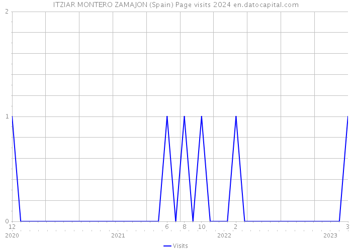 ITZIAR MONTERO ZAMAJON (Spain) Page visits 2024 