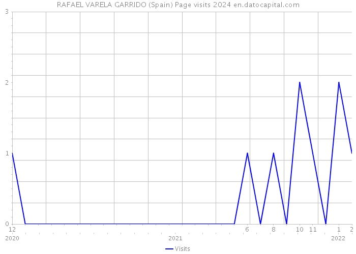 RAFAEL VARELA GARRIDO (Spain) Page visits 2024 