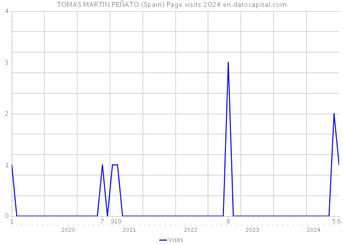 TOMAS MARTIN PEÑATO (Spain) Page visits 2024 
