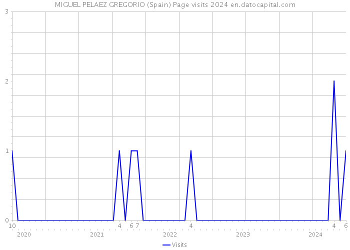 MIGUEL PELAEZ GREGORIO (Spain) Page visits 2024 