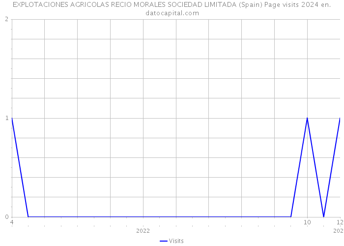 EXPLOTACIONES AGRICOLAS RECIO MORALES SOCIEDAD LIMITADA (Spain) Page visits 2024 